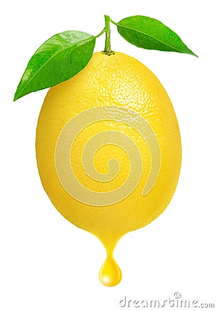 Fresh lemon Stock Photo