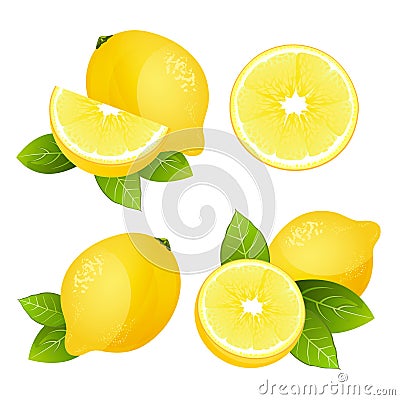 Fresh lemon fruit slice set. Collection of realistic juicy citrus with leaves vector illustration Vector Illustration