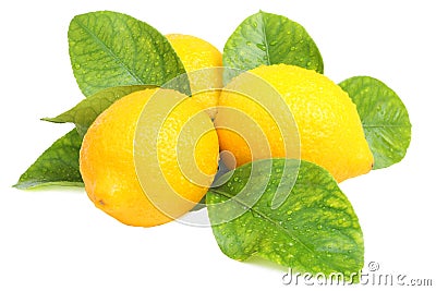 Fresh lemons Stock Photo