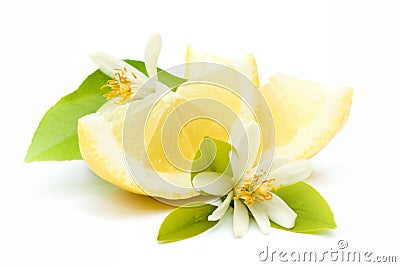 Fresh lemons Stock Photo