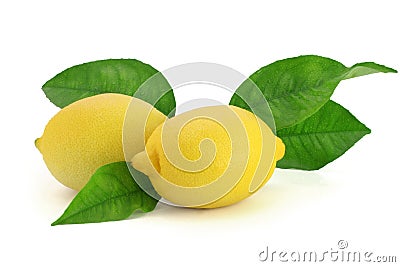 Fresh lemons with leaves Stock Photo