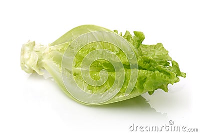 Fresh Lettuce Stock Photo