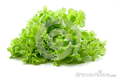 Fresh lettuce Stock Photo