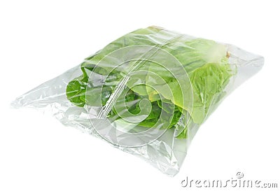 Fresh lettuce in a bag Stock Photo