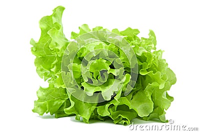 Fresh lettuce salad isolated Stock Photo