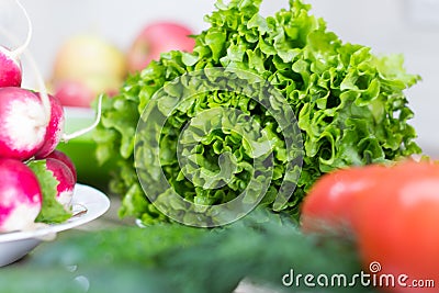Fresh lettuce, tomatoes, radish and dill on a dish. Stock Photo