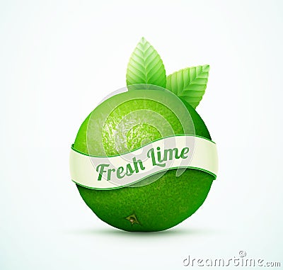 Fresh lime fruit with green leaves Vector Illustration