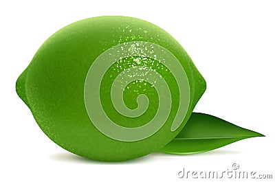 Fresh lime with leaf Cartoon Illustration