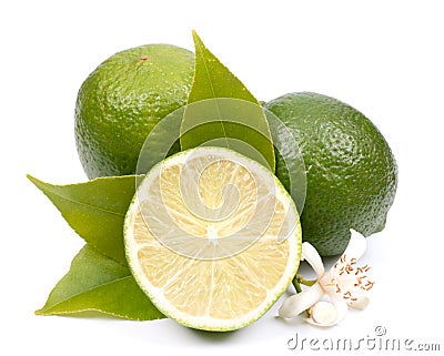 Fresh limes Stock Photo