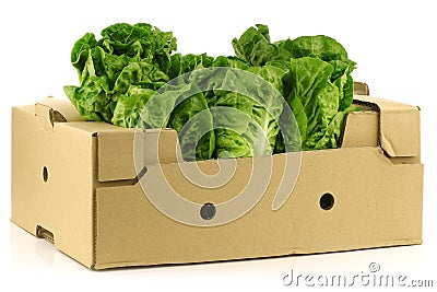 Fresh little gem lettuce in a cardboard box Stock Photo