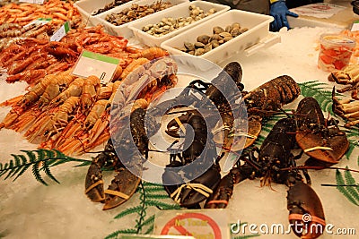 Fresh lobster Stock Photo