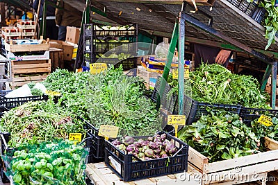 Fresh local greenery on market Editorial Stock Photo