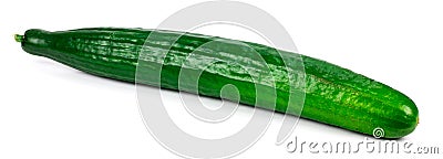 Fresh long cucumber over a white background Stock Photo
