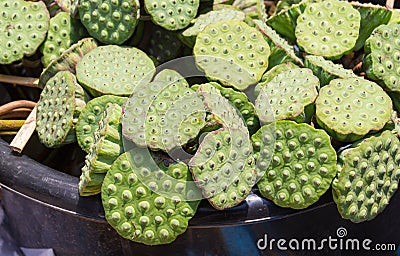 Fresh lotus pods and seeds Stock Photo