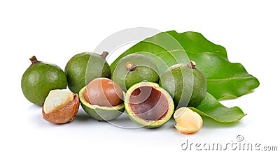 Fresh macadamia nut on white background Stock Photo