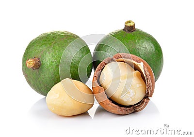 Fresh macadamia nut on white background Stock Photo