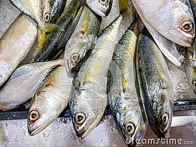 Fresh Mackerel fish in market close up Stock Photo