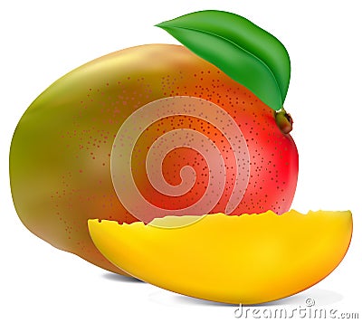 Fresh mango Vector Illustration