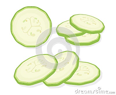 Fresh marrow vegetables sliced slices isolated on white background. Rings of zucchini. Vector Illustration Stock Photo