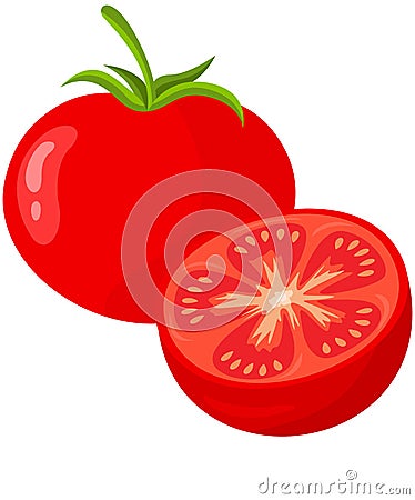 Fresh mature whole and half tomato Vector Illustration