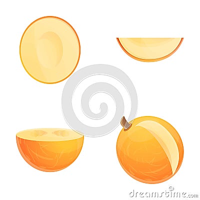 Fresh melon icons set cartoon vector. Ripe melon Vector Illustration