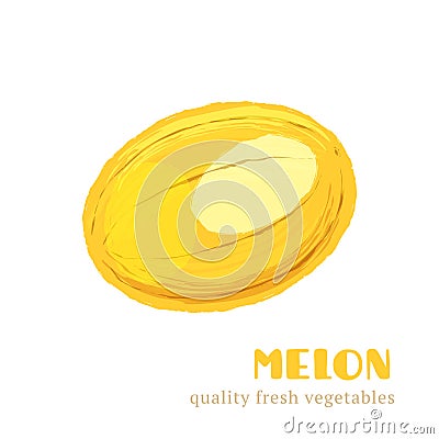Fresh melon isolated on white background. Vector Illustration