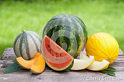 Fresh melons Stock Photo