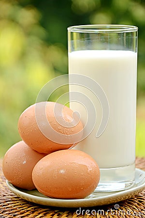 Fresh Milk and Eggs. Stock Photo