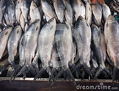 Fresh Milkfish at a Local Fish Market Stock Photo