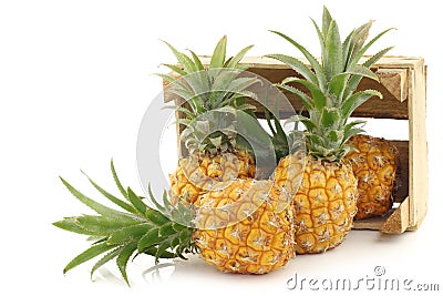 Fresh mini pineapple fruit in a wooden box Stock Photo