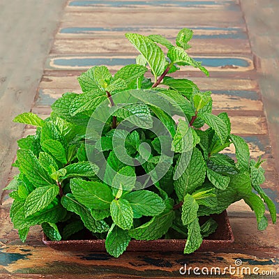 Fresh mint in brown bowl on wooden table Stock Photo