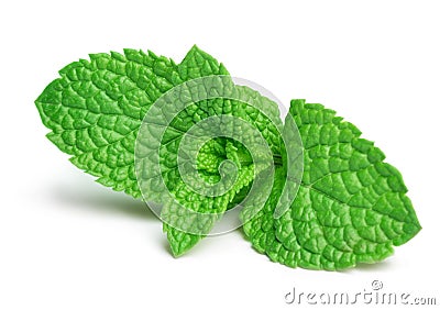 Fresh mint Stock Photo