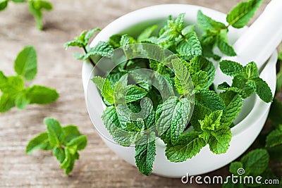 Fresh mint leaves in mortar bowl. Stock Photo