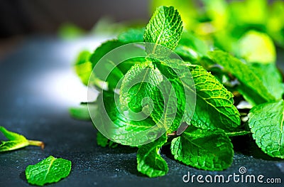 Fresh mint on a table Stock Photo