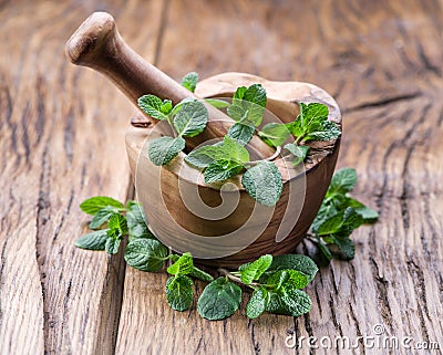 Fresh mint, wooden mortar and pestle Stock Photo