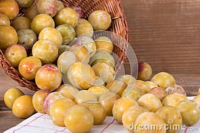 Fresh mirabelles with basket Stock Photo