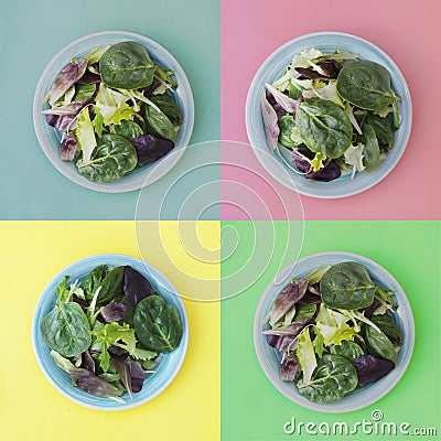 Collage of fresh mixed green salad in round plate, colorful background. Healthy food, diet concept. Top view, square image Stock Photo