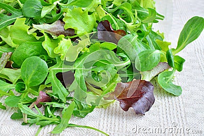 Fresh mixed greens leaf vegetables of arugula, mesclun, mache Stock Photo