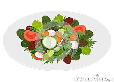 Fresh mixed salad leaves with vegetables Vector Illustration