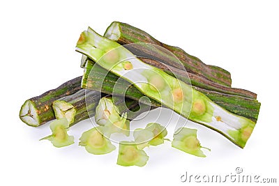 Fresh Moringa Drumstick tree isolated on a white Stock Photo