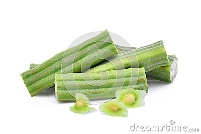 Fresh moringa pod drumstick tree with seed isolated on white Stock Photo