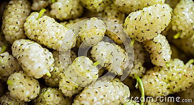 Fresh mulberry macro shot Stock Photo