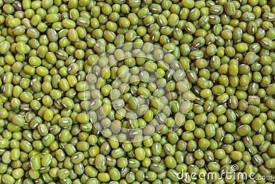 Fresh mung bean grams Stock Photo