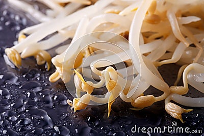 Fresh mung bean sprouts macro. horizontal Stock Photo