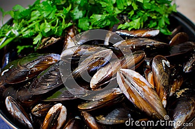 Fresh mussels Stock Photo