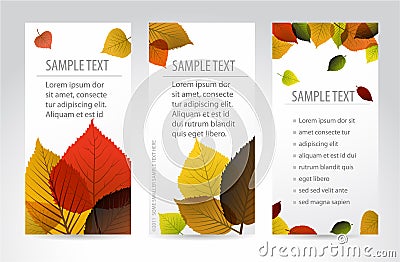 Fresh natural autumn vertical banners with leafs Stock Photo