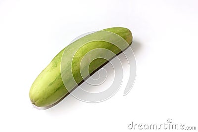 Fresh Natural Cucumber Stock Photo