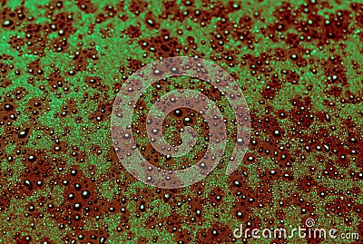 Fresh natural partially out of focus abstract pearl background o Stock Photo