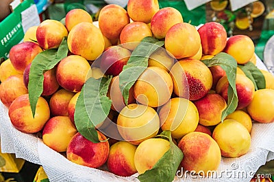 Fresh nectarines for sale at the Panjshanbe Bazaar in Khujand Stock Photo