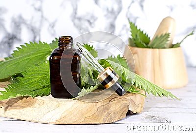 Fresh nettle in wooden mortar. Preparation of elixirs from medicinal herbs by herbalists. The essential oil in the pharmacy bottle Stock Photo